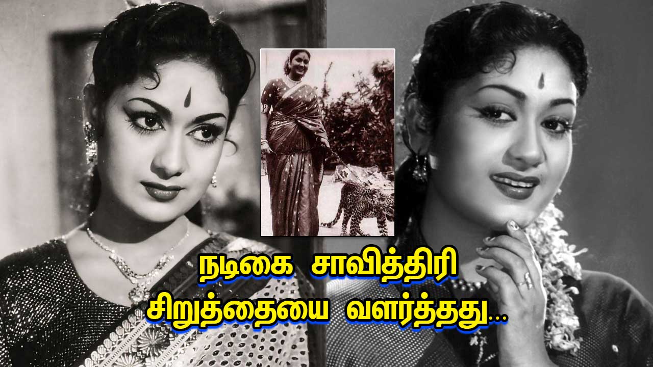 Actress Savitri raised a leopard