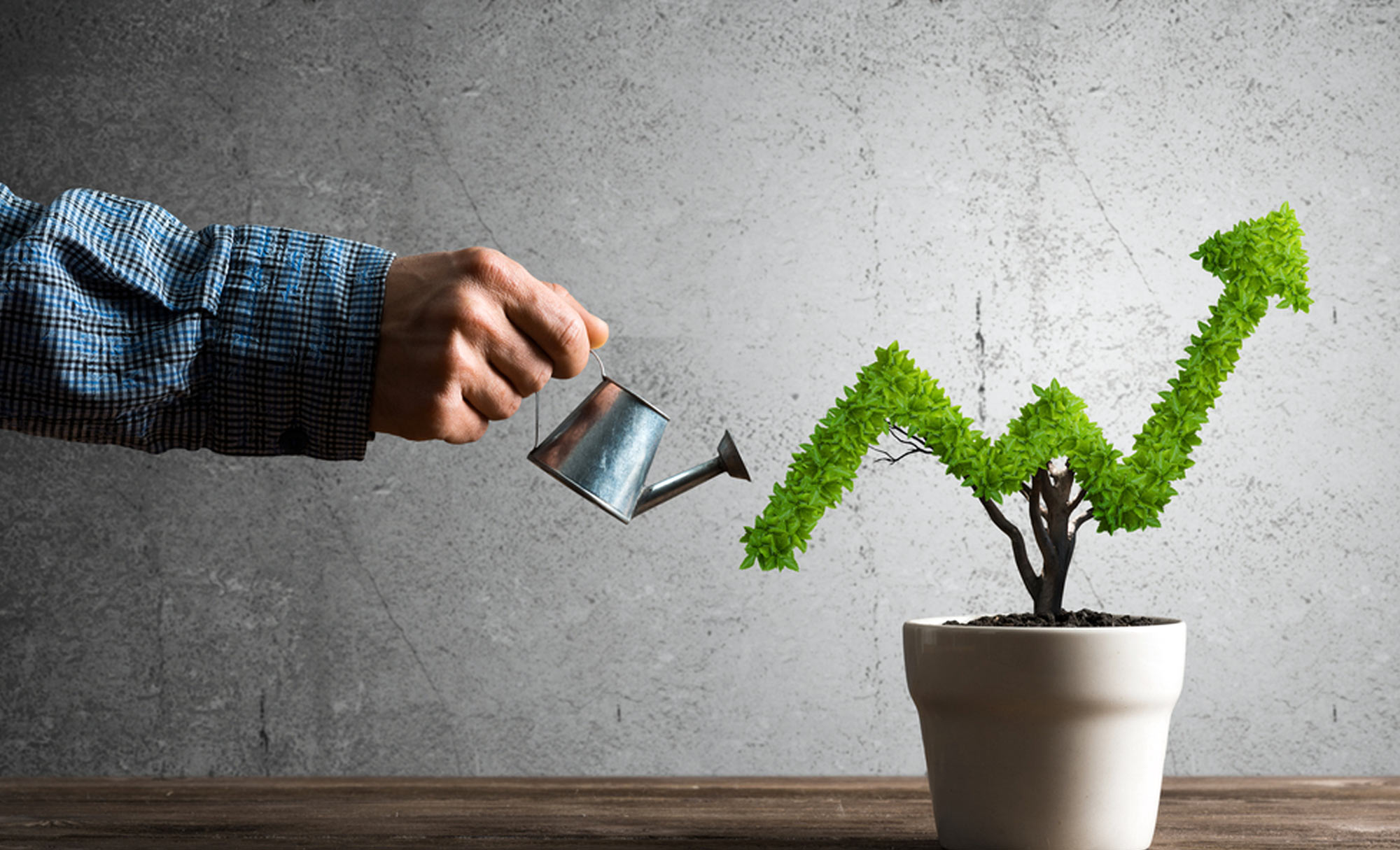 Remedy for advancement in own business