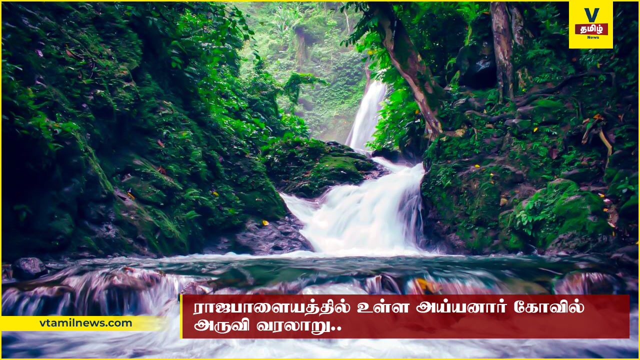 Rajapalayam Ayyanar waterfall